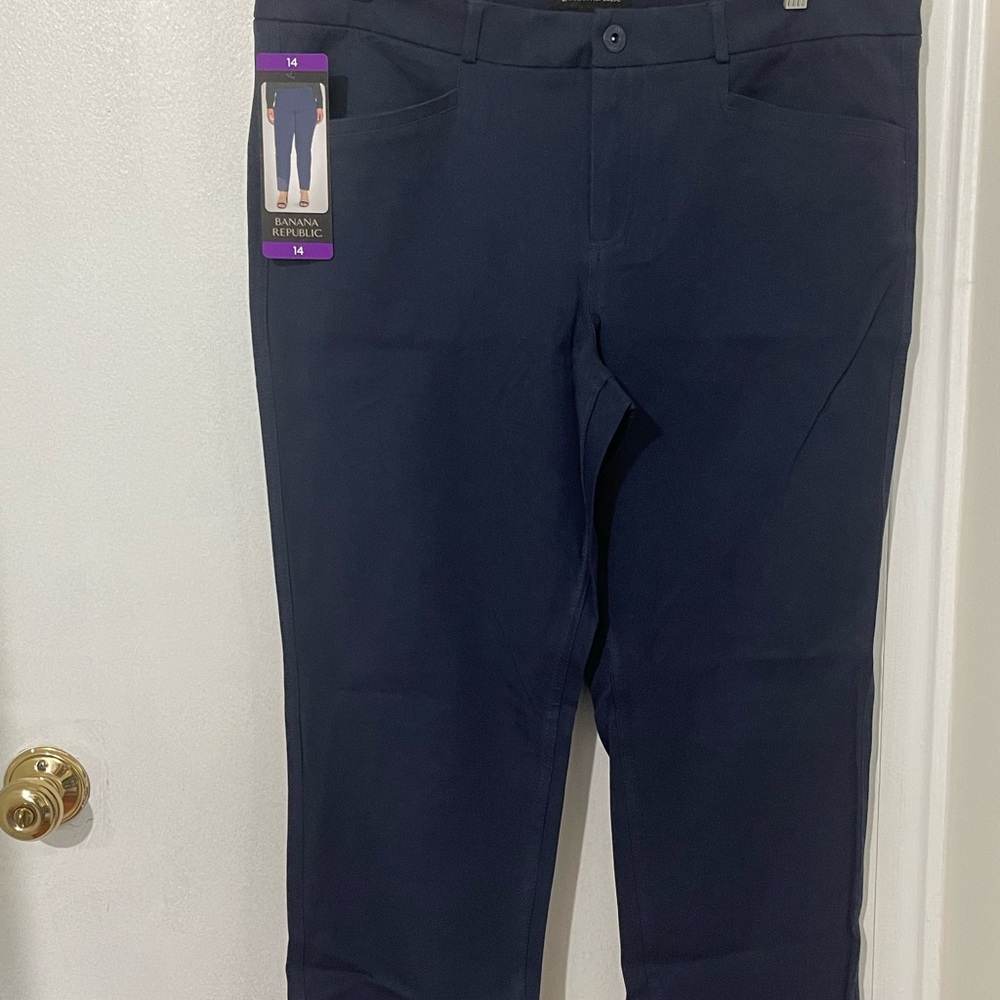 Banana Republic Blue Chinos